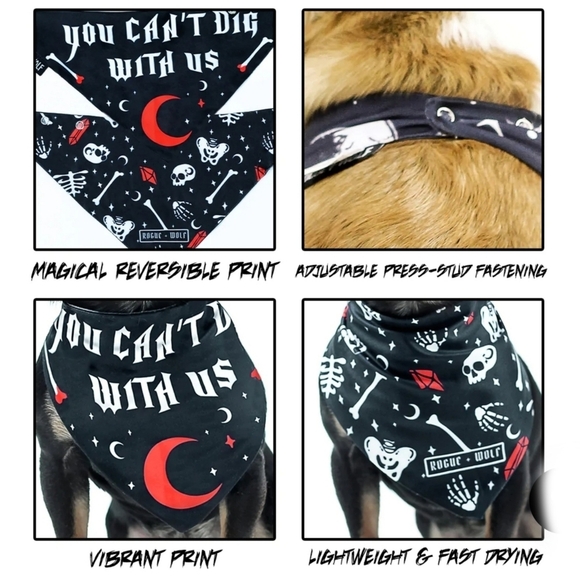 Rogue + Wolf ✦ “You Can’t Dig With Us” Reversible Pet Bandana ✦ Bones + Crystals - Picture 5 of 16
